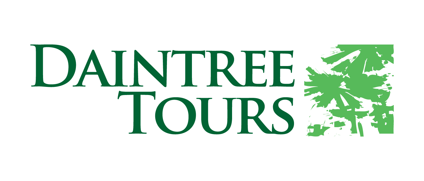 Daintree Tours An Experience Co Adventure