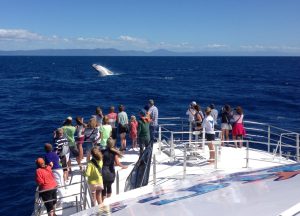 People on boat whale in front