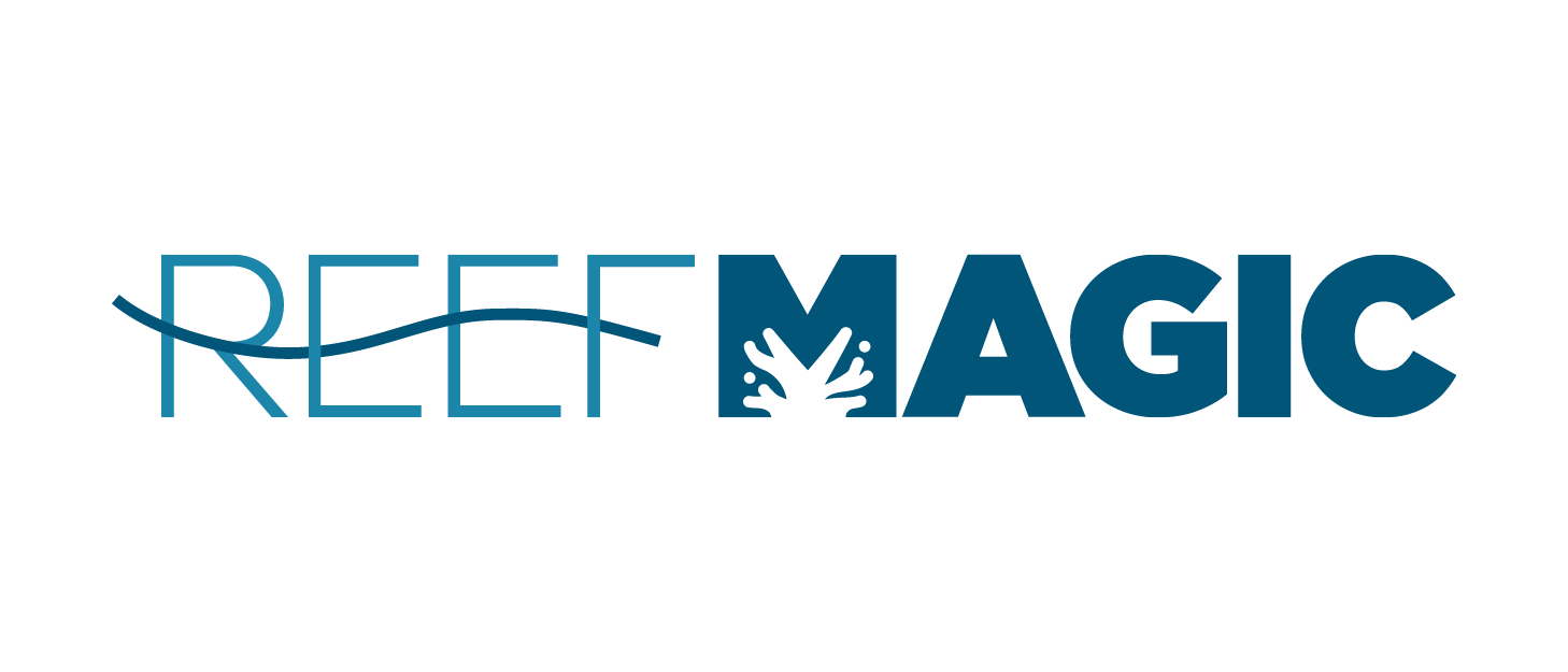 Reef Magic An Experience Co Adventure